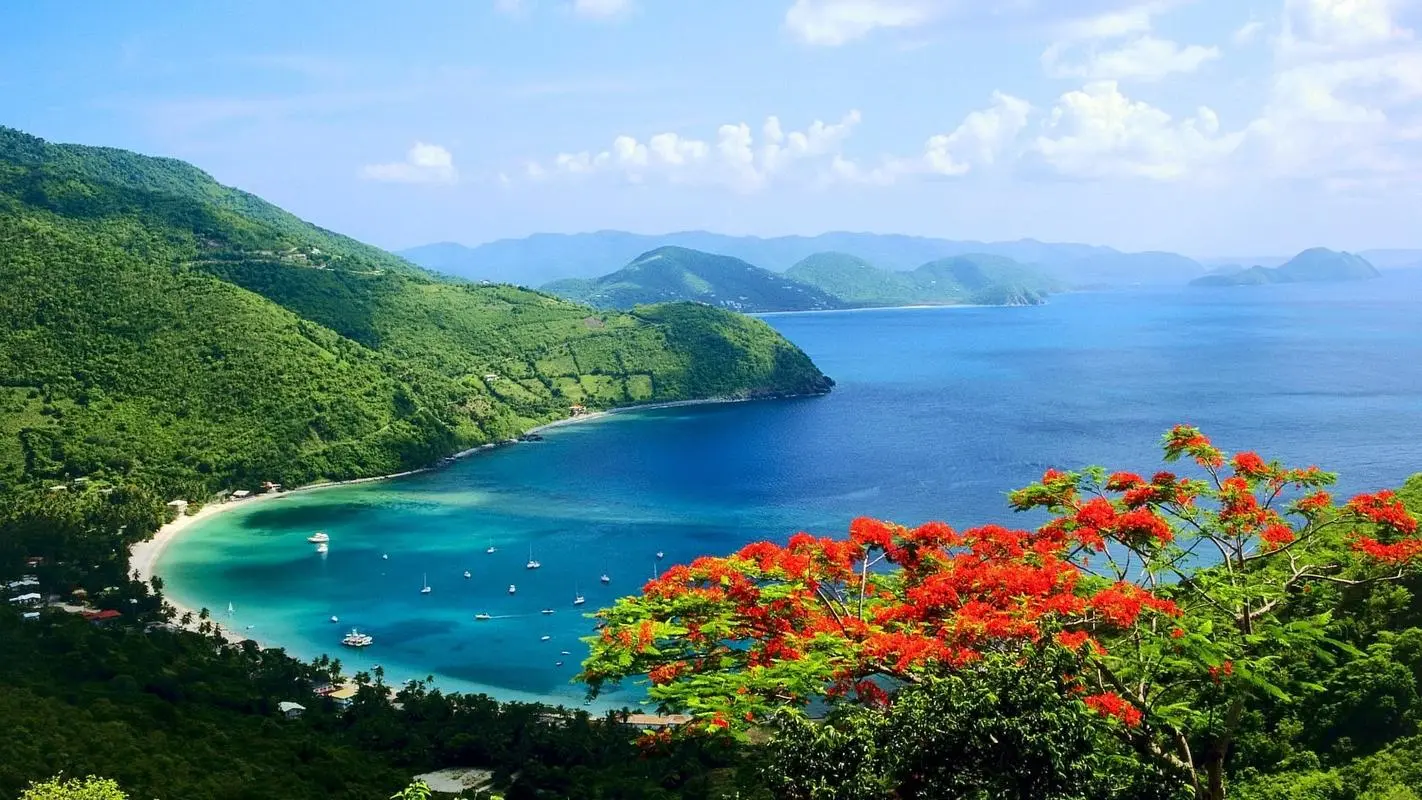 高质量全自动信息化